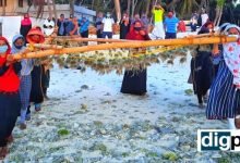 Seaweed farming could aid economic growth in Lakshadweep; initiative driven by CMFRI