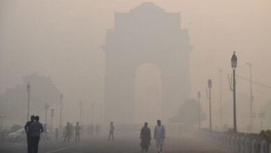 Smog in New Delhi due to air pollution