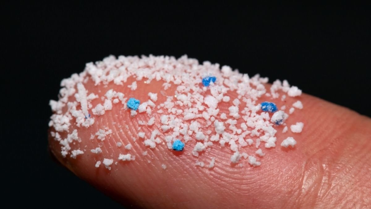 Microplastics in human blood: Human health at serious risk