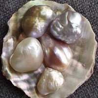 perla perle