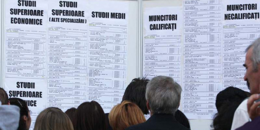 În Maramureș: Aproape 600 de locuri de muncă disponibile prin AJOFM