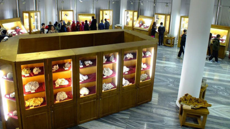 2021, an fructuos pentru Muzeul de Mineralogie Baia Mare; Patrimoniul muzeal a sporit cu 30 de piese, iar numărul vizitatorilor a crescut