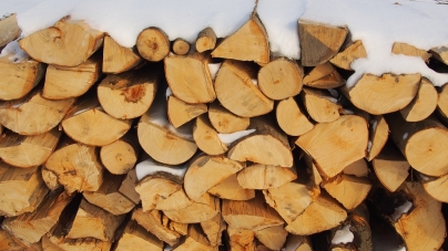 Transport ilegal de lemne: 14,78 mc indisponibilizați de polițiștii maramureșeni