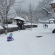 Iarna pe uliță: Copiii sunt așteptați la săniuș la Muzeul Satului din Baia Mare