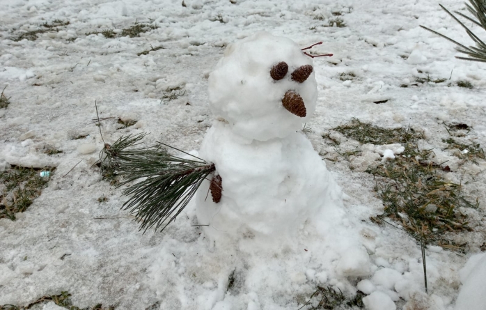 Bucuria iernii: Omuleți de zăpada la tot pasul în Baia Mare