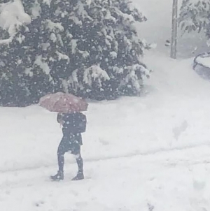 Vreme de iarnă autentică: În județul Maramureș, nordul municipiului Baia Mare, în prezent, are stratul de zăpadă cel mai mare, de 41 cm! Iată care e cartierul!