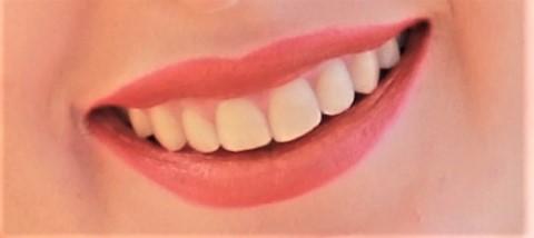 Teeth and Gums