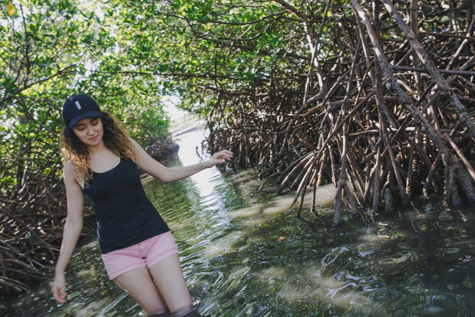 monte cristi mangroves and natural pool