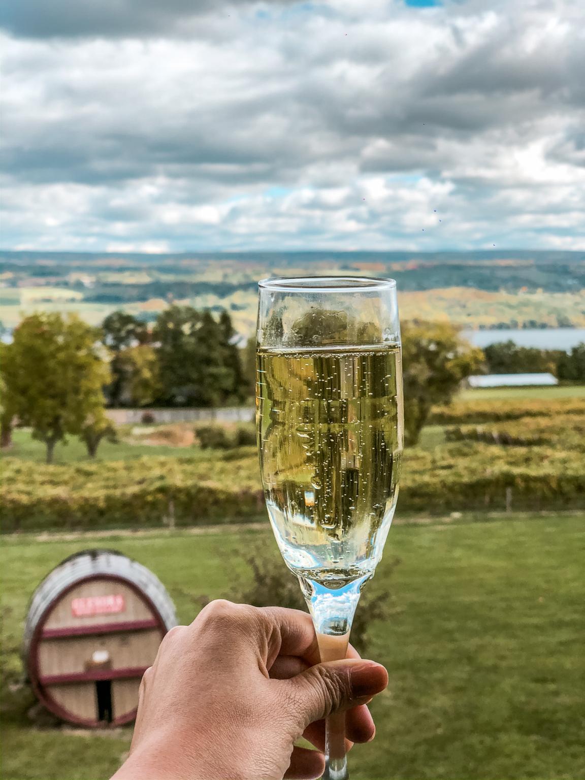 wine tour finger lakes packages