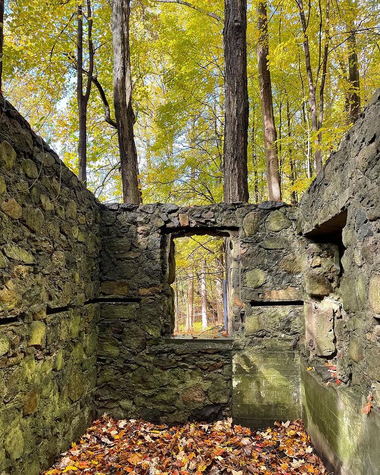 Part of the Castle's walls and lot of leaves around in the autumn time.  
