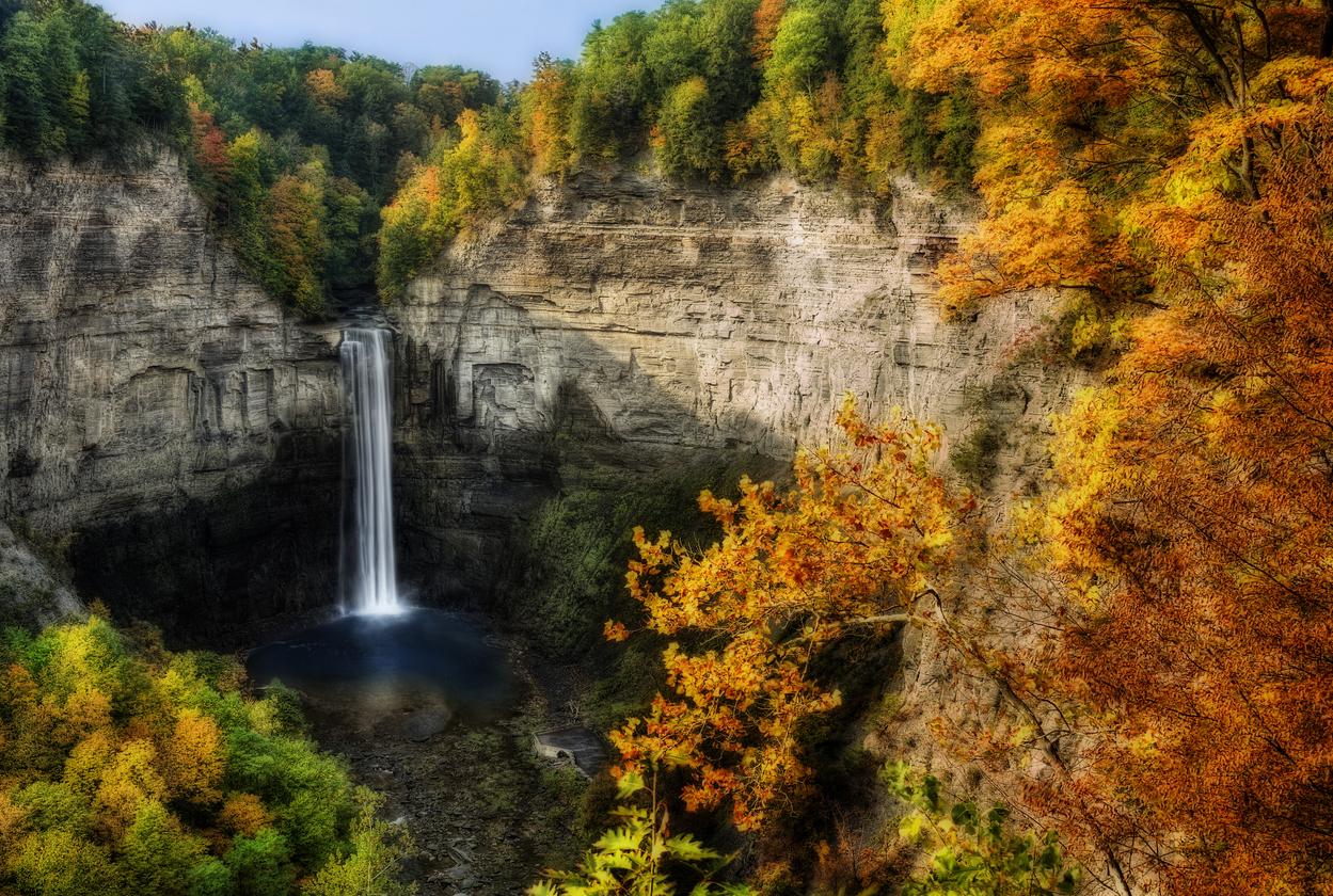 fall leaves surrounding a new york waterfall in a canyon