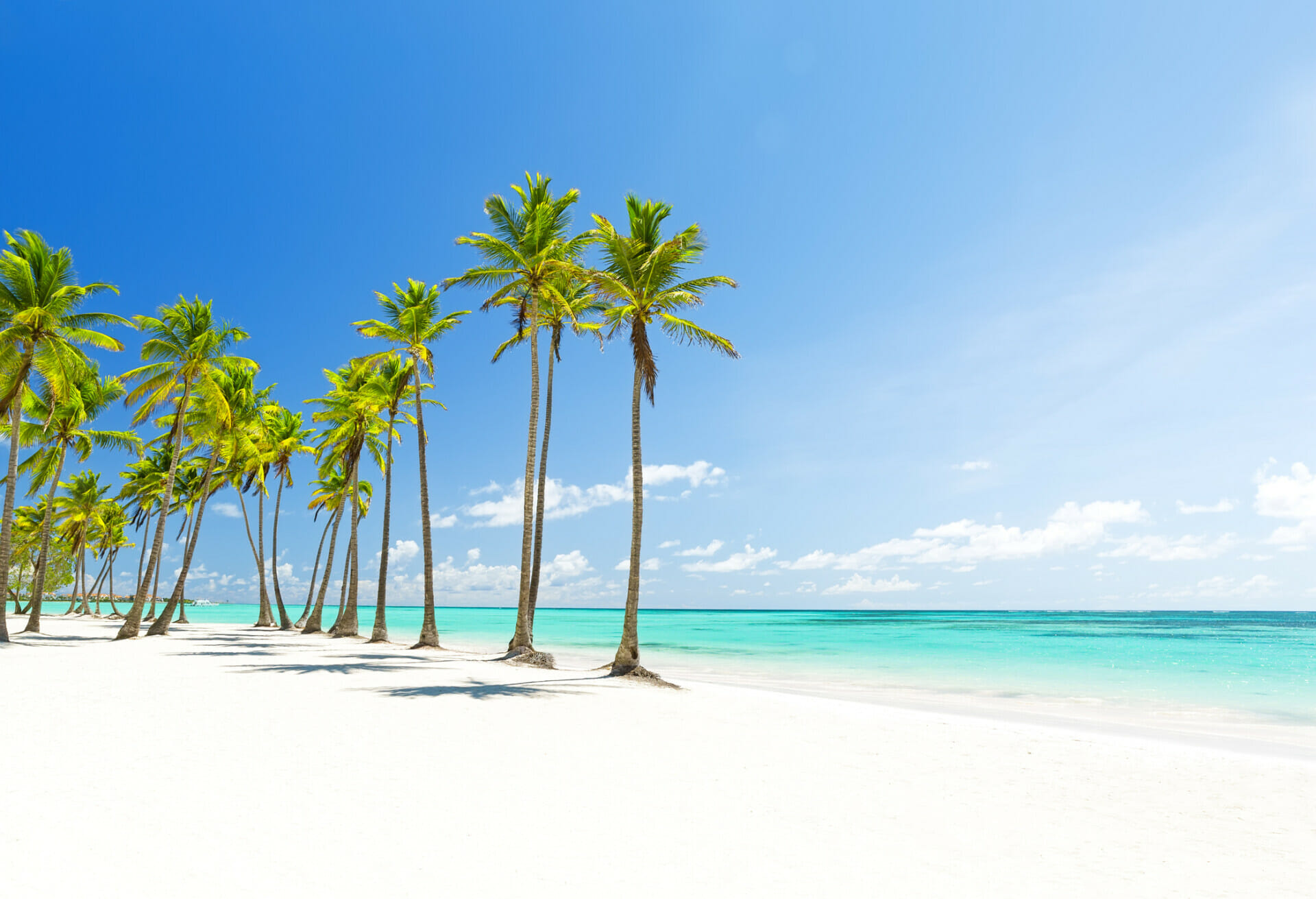 Juanillo Beach in the Dominican Republic with white sand , blue sea, and palm trees.