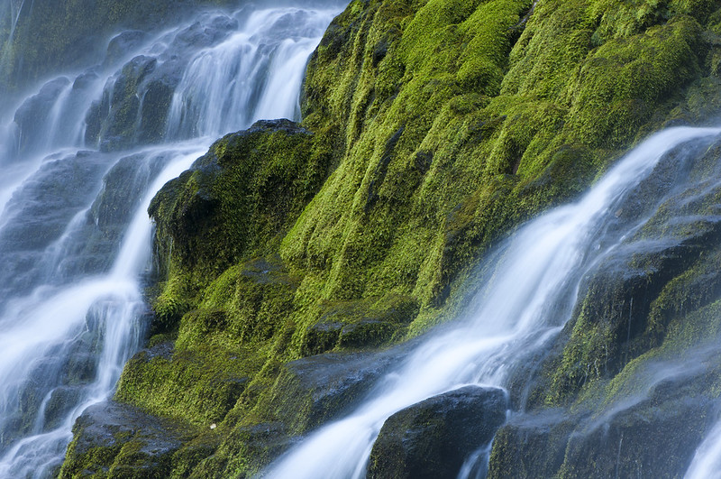 Waterfalls on mossy rocks.