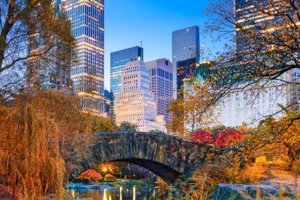 A bridge in Central Park surrounded by trees and with buildings in the background in fall in NYC