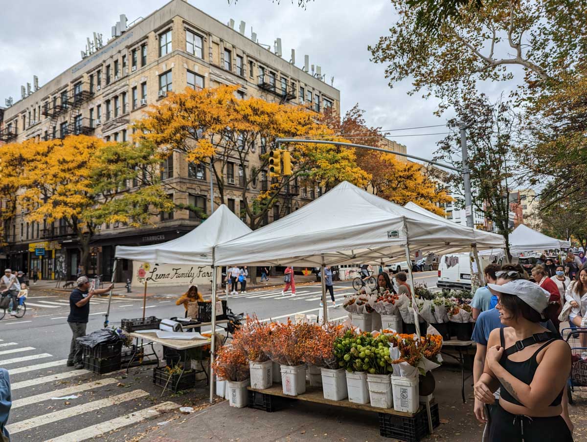 A fall farmers market in New York City surrounded by people 