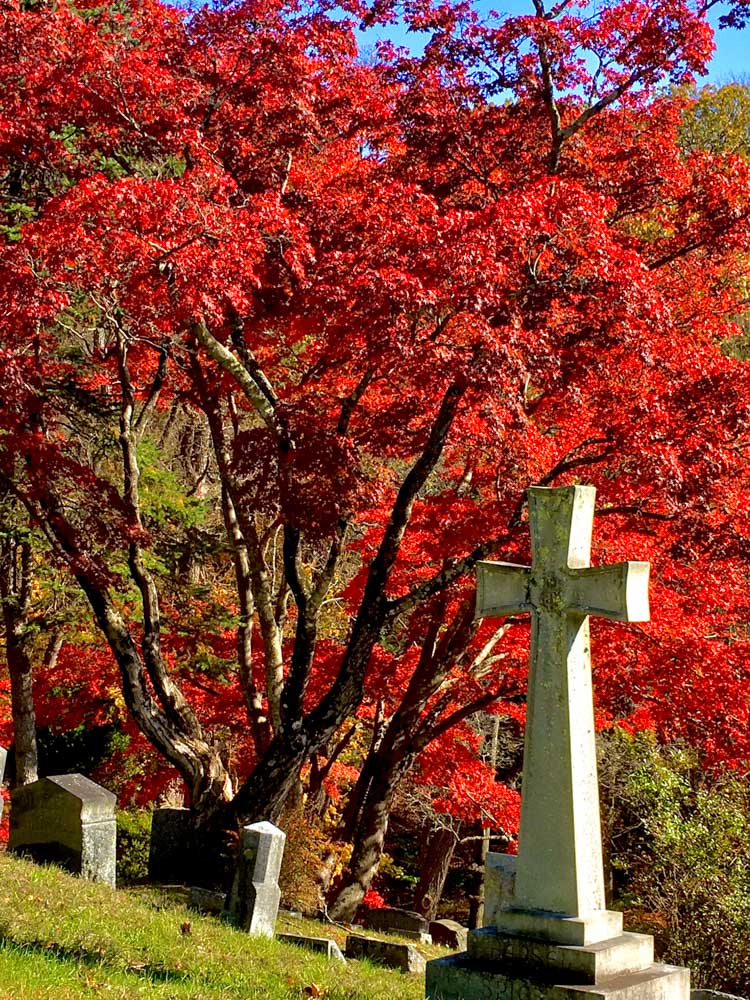 Sleepy Hollow Cemetery in fall with gravestones and trees with red leaves