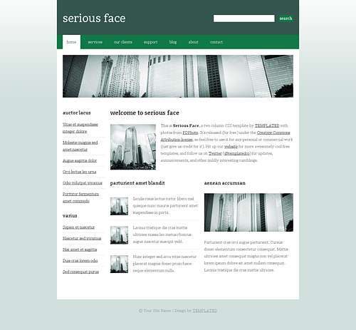 Serious Face html template