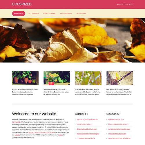 Colorized html template
