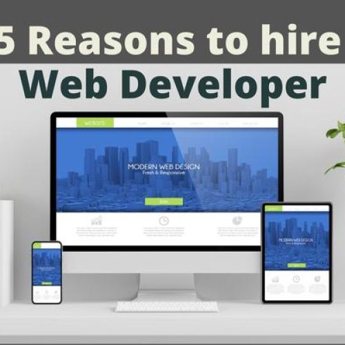 5 Reasons to hire a professional website developer