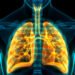 Concepto de ilustración 3D de la anatomía de los pulmones del sistema respiratorio humano