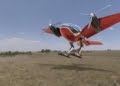 Máquina voladora de biomimetismo macrobat
