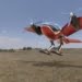 macrobat biomimicry flying machine