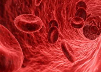 protéines sanguines