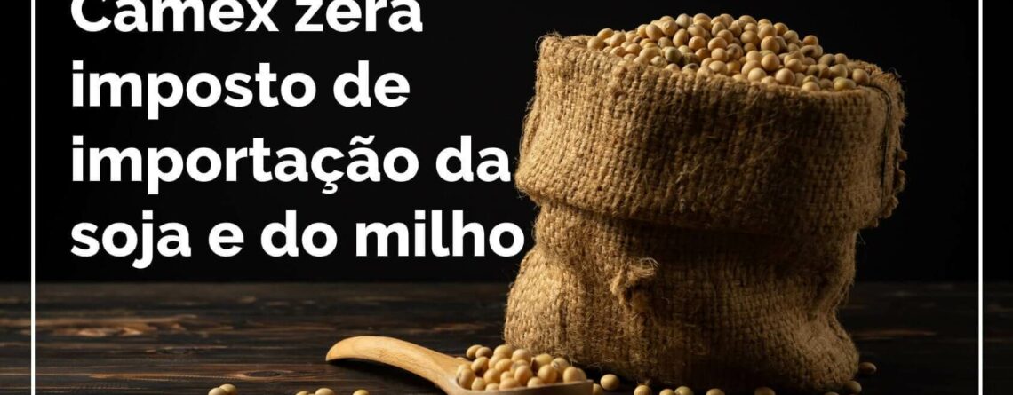 Camex-zera-imposto-de-importação-da-soja-e-do-milho