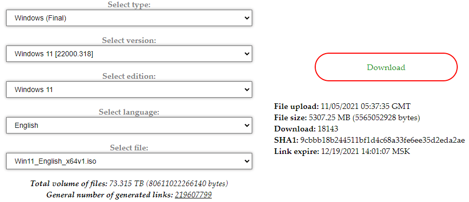 Windows 11 ISO File from RG-Adgaurd.net