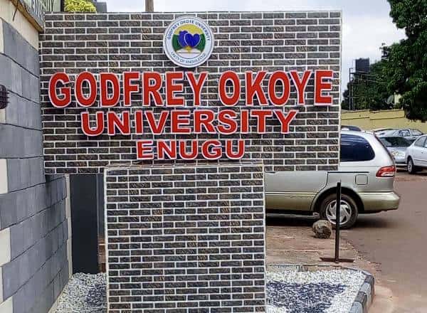 Firm to establish biggest oxygen plant at Enugu varsity campus