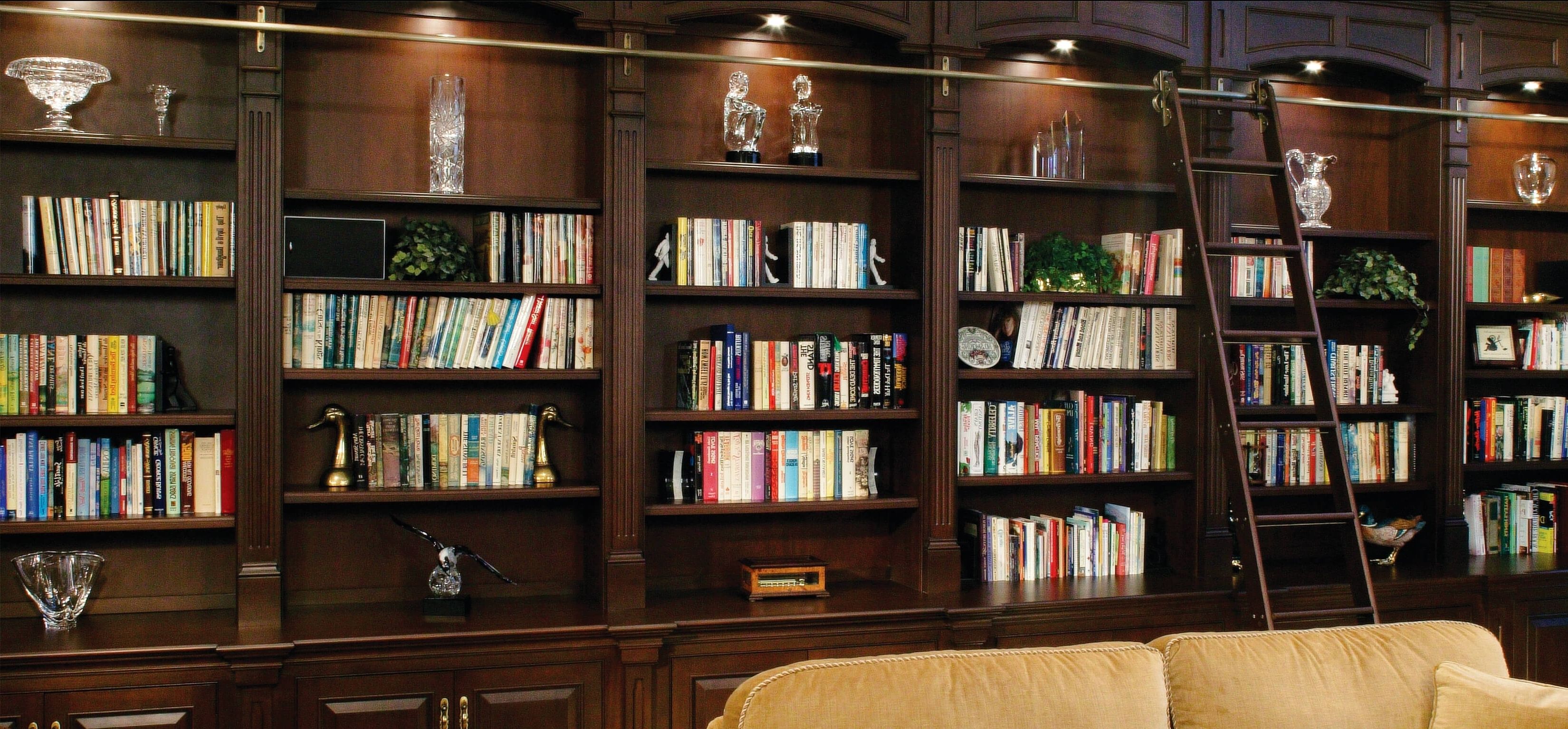 Featured Photo of Home Library Shelving Systems