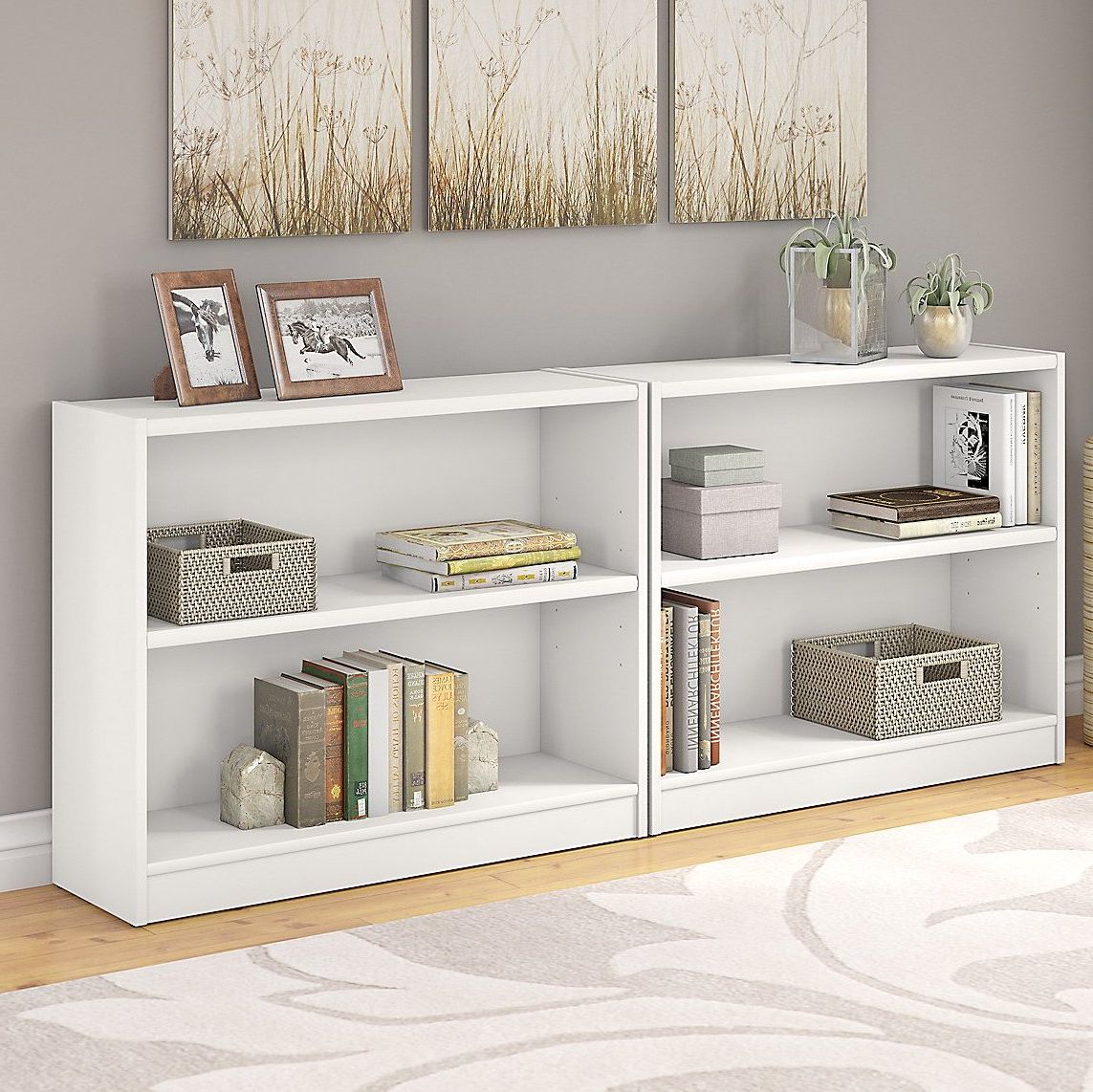 Featured Photo of Morrell Standard Bookcases