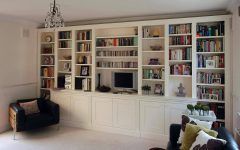 Fitted Book Shelves