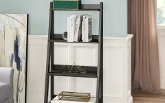 Riddleville Ladder Bookcases