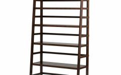 Mayna Ladder Bookcases