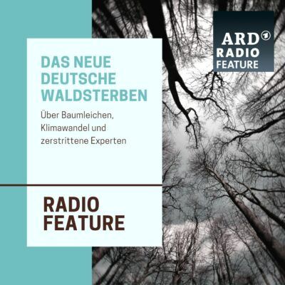 Das neue deutsche Waldsterben | ARD radiofeature