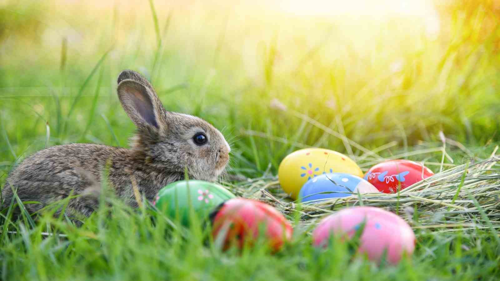 23 Cool Diy Outdoor Easter Decorating