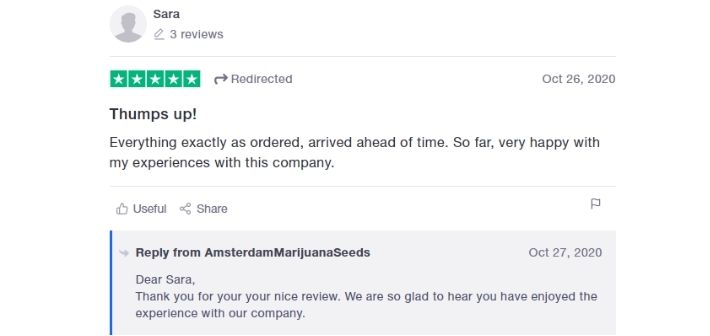 amsterdam marijuana seeds reviews