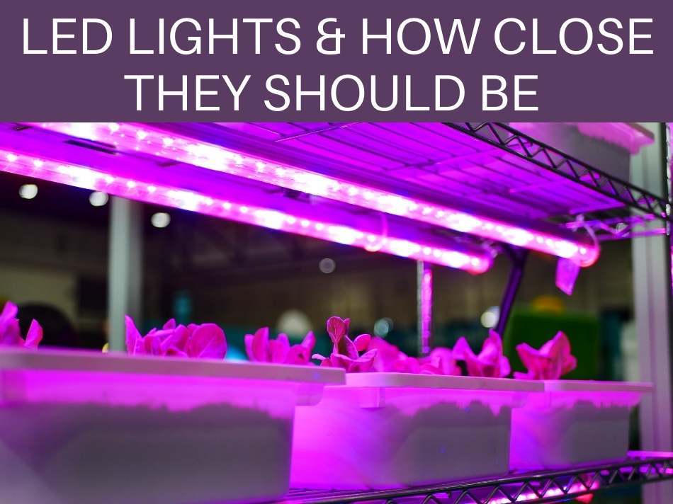LED Lights & How Close They Should Be