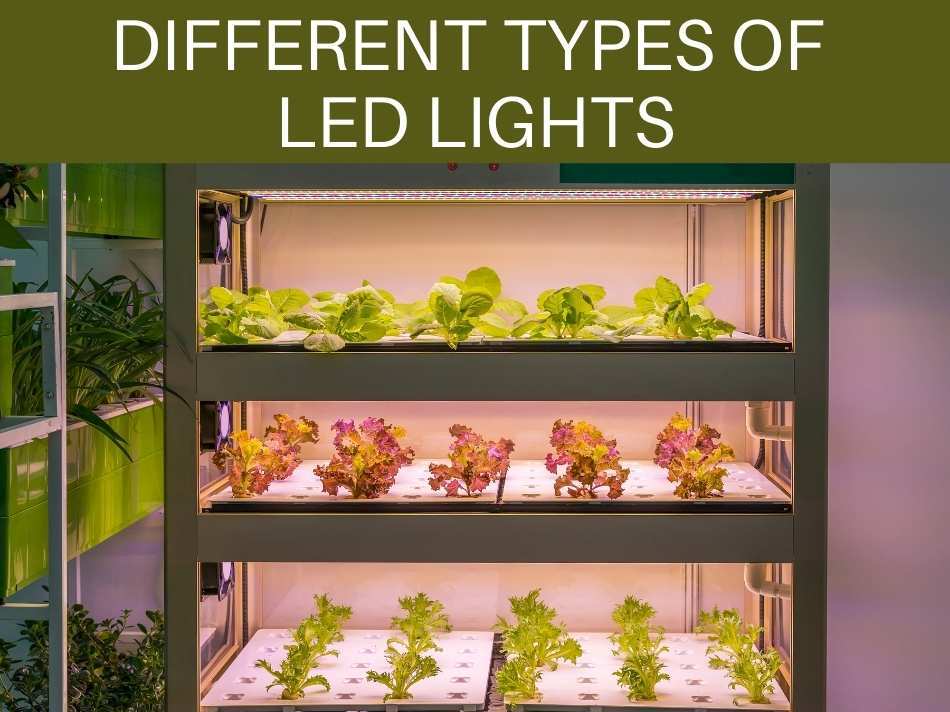 Different Types Of LED Lights