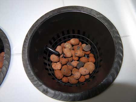 Example of filling the bottom of a net pot with hydroton, then installing the top-feed tube