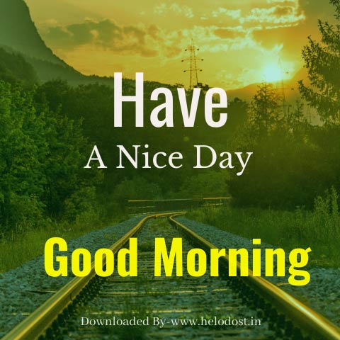 40+ Good Morning Have a Nice Day Images Download in HD