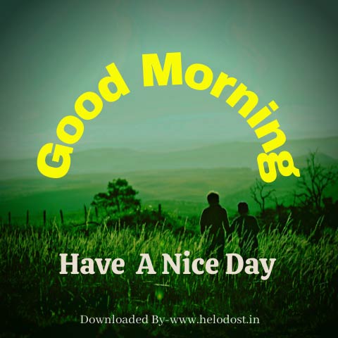 40 Good Morning Have a Nice Day Images Download in HD 16 »