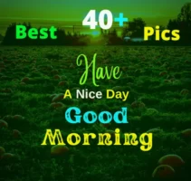 40+ 👉 इसे पढ़ो सब भूल जाओगे-Good Morning Have a Nice Day Images Download in HD