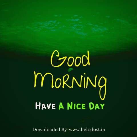40 Good Morning Have a Nice Day Images Download in HD 25 »