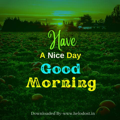 40 Good Morning Have a Nice Day Images Download in HD 38 »