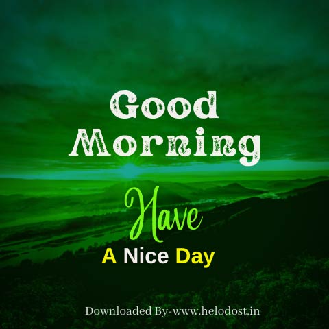 40 Good Morning Have a Nice Day Images Download in HD 4 »