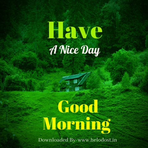 40 Good Morning Have a Nice Day Images Download in HD 42 »