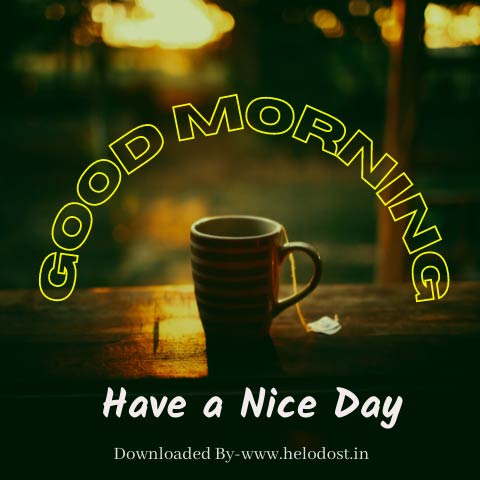 40 Good Morning Have a Nice Day Images Download in HD 5 »