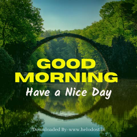 40 Good Morning Have a Nice Day Images Download in HD 6 »